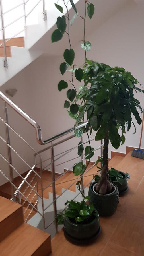 Dativo House Navodari Dış mekan fotoğraf