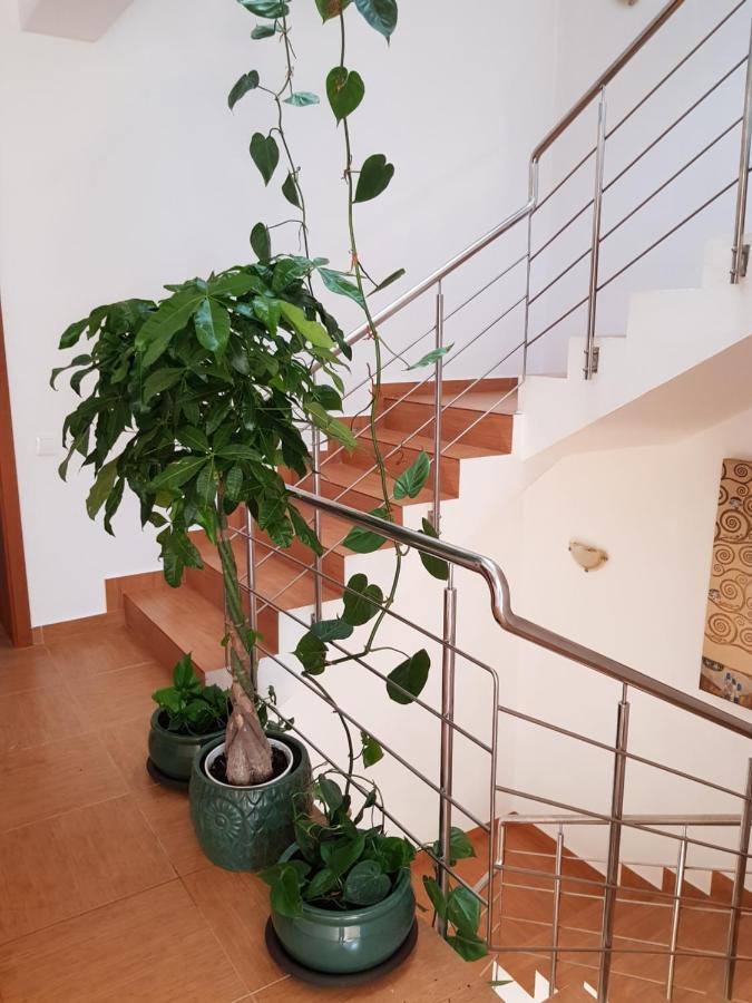 Dativo House Navodari Dış mekan fotoğraf